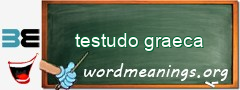 WordMeaning blackboard for testudo graeca